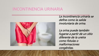 INCONTINENCIA URINARIA
La incontinencia urinaria se
define como la salida
involuntaria de orina.
La orina puede también
fugarse a partir de un sitio
diferente de la uretra
como fistulas o
malformaciones
congénitas.
González Merlo. ginecología
 
