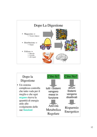Dopo La Digestione

    • Magazzino ->
           • Tessuto Adiposo



    • Distribuzione ->
           • Sangue



    • Utilizzo ->
           • Muscolo
           • Cervello
           • altri organi




    Dopo la                     Cibo Si?         Cibo No?
   Digestione
• Un sistema
  complesso controlla          tutti i Sistemi      alcuni
  che tutto vada per il          vengono           Sistemi
  meglio e che ogni               messi in        vengono
  organo riceva la               funzione         disattivati
  quantità di energia
  utile allo
  svolgimento delle             Attività
                                                 Risparmio
  sue funzioni                 Metabolica
                                                 Energetico
                                Regolare



                                                                12
 