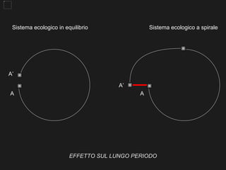 Sistema ecologico in equilibrio                Sistema ecologico a spirale




A’

                                      A’
A                                           A




                        EFFETTO SUL LUNGO PERIODO
 