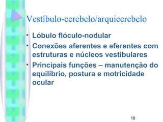 Vestíbulo-cerebelo/arquicerebelo 
• Lóbulo flóculo-nodular 
• Conexões aferentes e eferentes com 
estruturas e núcleos vestibulares 
• Principais funções – manutenção do 
equilíbrio, postura e motricidade 
ocular 
10 
 