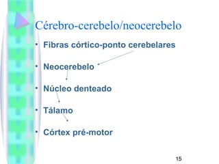 Cérebro-cerebelo/neocerebelo 
• Fibras córtico-ponto cerebelares 
• Neocerebelo 
• Núcleo denteado 
• Tálamo 
• Córtex pré-motor 
15 
 