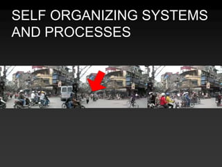 SELF ORGANIZING SYSTEMS AND PROCESSES