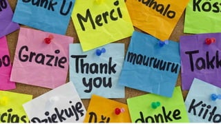 Incorporating Peace Studies into Education