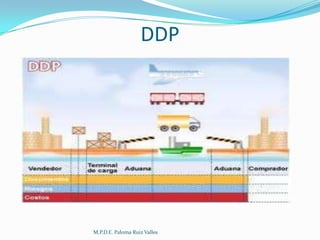 DDP

M.P.D.E. Paloma Ruiz Valles

 