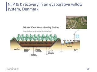30
N, P & K recovery in an evaporative willow
system, Denmark
Nutrients uptake in kg /ha First year production on second
y...