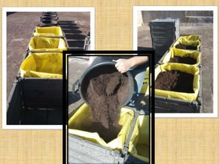 Increase biodiversity