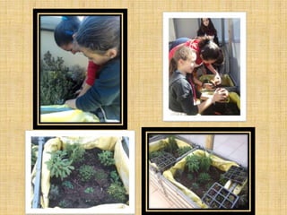 Increase biodiversity