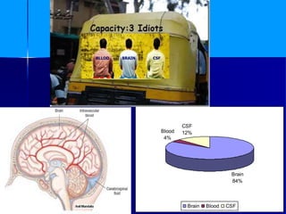 ANIL MANDALIA 1
Brain
84%
Blood
4%
CSF
12%
Brain Blood CSF
BLLOD BRAIN CSF
 