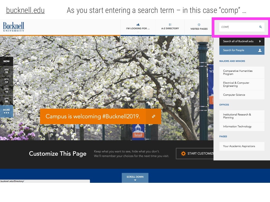 the search window highlights