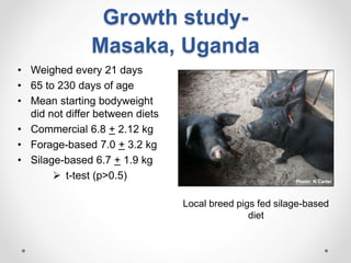 Increasing smallholder pig farmers' adaptive capacity: Low-cost balanced diets for East African pigs using livestock and plant co-products