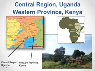 Increasing smallholder pig farmers' adaptive capacity: Low-cost balanced diets for East African pigs using livestock and plant co-products
