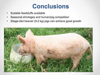 Increasing smallholder pig farmers' adaptive capacity: Low-cost balanced diets for East African pigs using livestock and plant co-products