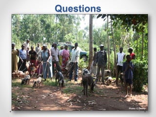 Increasing smallholder pig farmers' adaptive capacity: Low-cost balanced diets for East African pigs using livestock and plant co-products