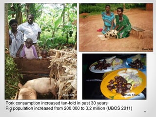 Increasing smallholder pig farmers' adaptive capacity: Low-cost balanced diets for East African pigs using livestock and plant co-products