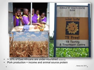 Increasing smallholder pig farmers' adaptive capacity: Low-cost balanced diets for East African pigs using livestock and plant co-products