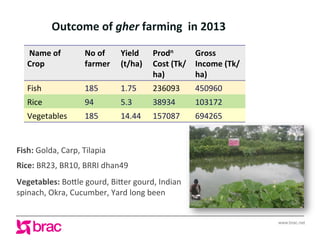 www.brac.net
Outcome	
  of	
  gher	
  farming	
  	
  in	
  2013	
  	
  
Fish:	
  Golda,	
  Carp,	
  Tilapia	
  
	
  
Rice:...