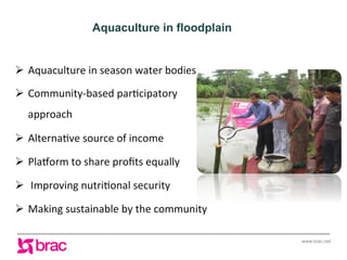 Increasing agricultural and aquacultural productivity in the coastal zone of Bangladesh: BRAC's effort