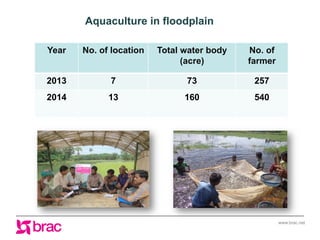 www.brac.net
Year No. of location Total water body
(acre)
No. of
farmer
2013 7 73 257
2014 13 160 540
Aquaculture in flood...