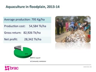 Increasing agricultural and aquacultural productivity in the coastal zone of Bangladesh: BRAC's effort