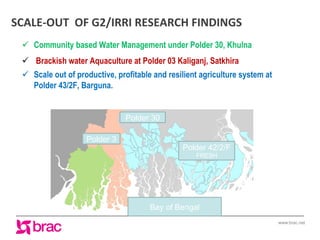 Increasing agricultural and aquacultural productivity in the coastal zone of Bangladesh: BRAC's effort
