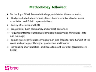 Increasing agricultural and aquacultural productivity in the coastal zone of Bangladesh: BRAC's effort
