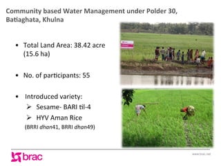 Increasing agricultural and aquacultural productivity in the coastal zone of Bangladesh: BRAC's effort