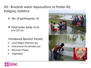 Increasing agricultural and aquacultural productivity in the coastal zone of Bangladesh: BRAC's effort