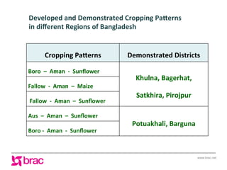 Increasing agricultural and aquacultural productivity in the coastal zone of Bangladesh: BRAC's effort