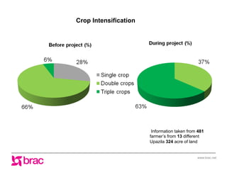 Increasing agricultural and aquacultural productivity in the coastal zone of Bangladesh: BRAC's effort