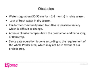 Increasing agricultural and aquacultural productivity in the coastal zone of Bangladesh: BRAC's effort