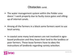 Increasing agricultural and aquacultural productivity in the coastal zone of Bangladesh: BRAC's effort