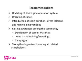 Increasing agricultural and aquacultural productivity in the coastal zone of Bangladesh: BRAC's effort