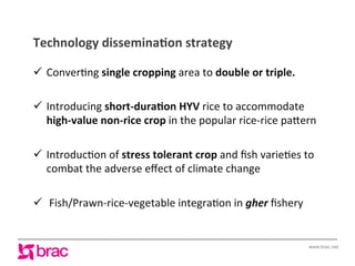 Increasing agricultural and aquacultural productivity in the coastal zone of Bangladesh: BRAC's effort