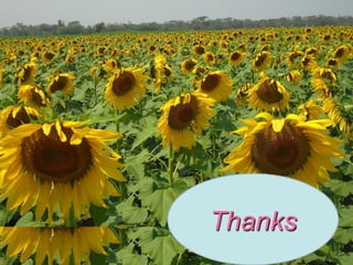 Increasing agricultural and aquacultural productivity in the coastal zone of Bangladesh: BRAC's effort