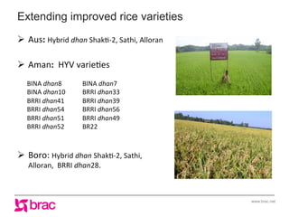 Increasing agricultural and aquacultural productivity in the coastal zone of Bangladesh: BRAC's effort