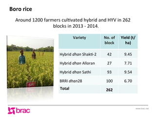 www.brac.net
Boro	
  rice	
  
Around	
  1200	
  farmers	
  cul.vated	
  hybrid	
  and	
  HYV	
  in	
  262	
  
blocks	
  in...