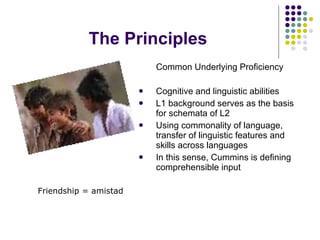 The Principles Common Underlying Proficiency Cognitive and linguistic abilities L1 background serves as the basis for schemata of L2 Using commonality of language, transfer of linguistic features and skills across languages In this sense, Cummins is defining comprehensible input Friendship = amistad 