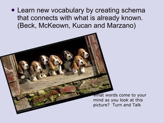 Learn new vocabulary by creating schema that connects with what is already known. (Beck, McKeown, Kucan and Marzano) What words come to your mind as you look at this picture?  Turn and Talk 