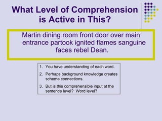 What Level of Comprehension is Active in This? Martin dining room front door over main entrance partook ignited flames sanguine faces rebel Dean.  You have understanding of each word. Perhaps background knowledge creates schema connections. But is this comprehensible input at the sentence level?  Word level? 