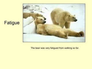 Fatigue The bear was very fatigued from walking so far. 