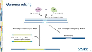 Increasing genome editing efficiency with optimized CRISPR-Cas enzymes ...