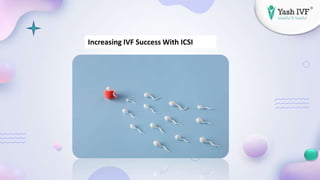 Increasing IVF Success With ICSI
 