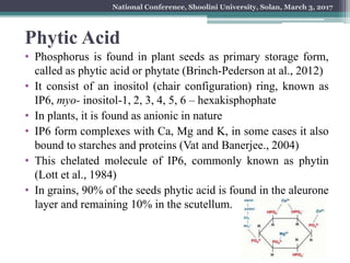 Increasing micronutrient bioavailability in foods by phytase ...