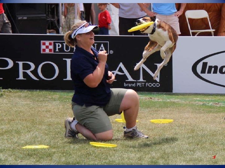 Incredible dog challenge