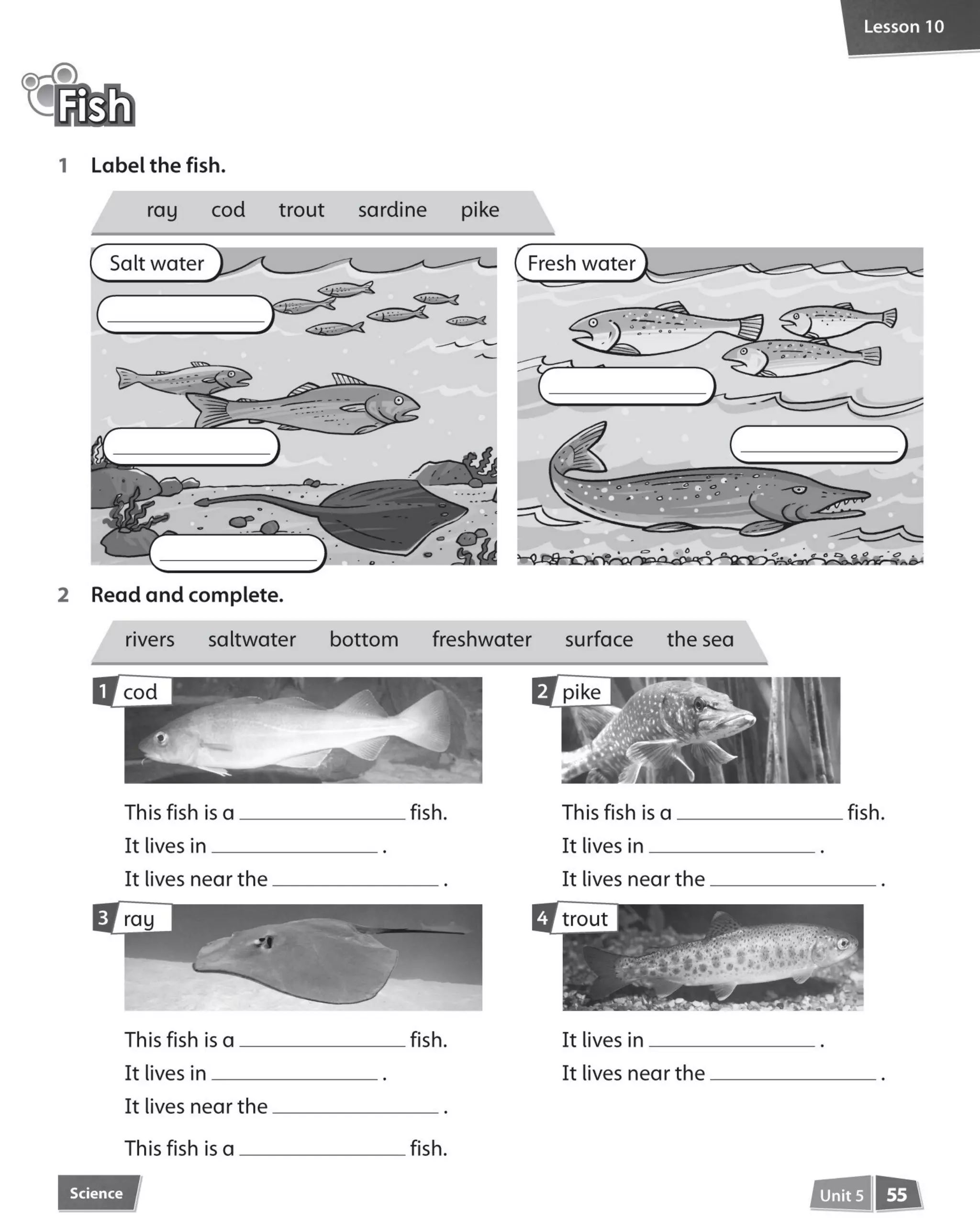 Incredible english 4_activity_book (1)