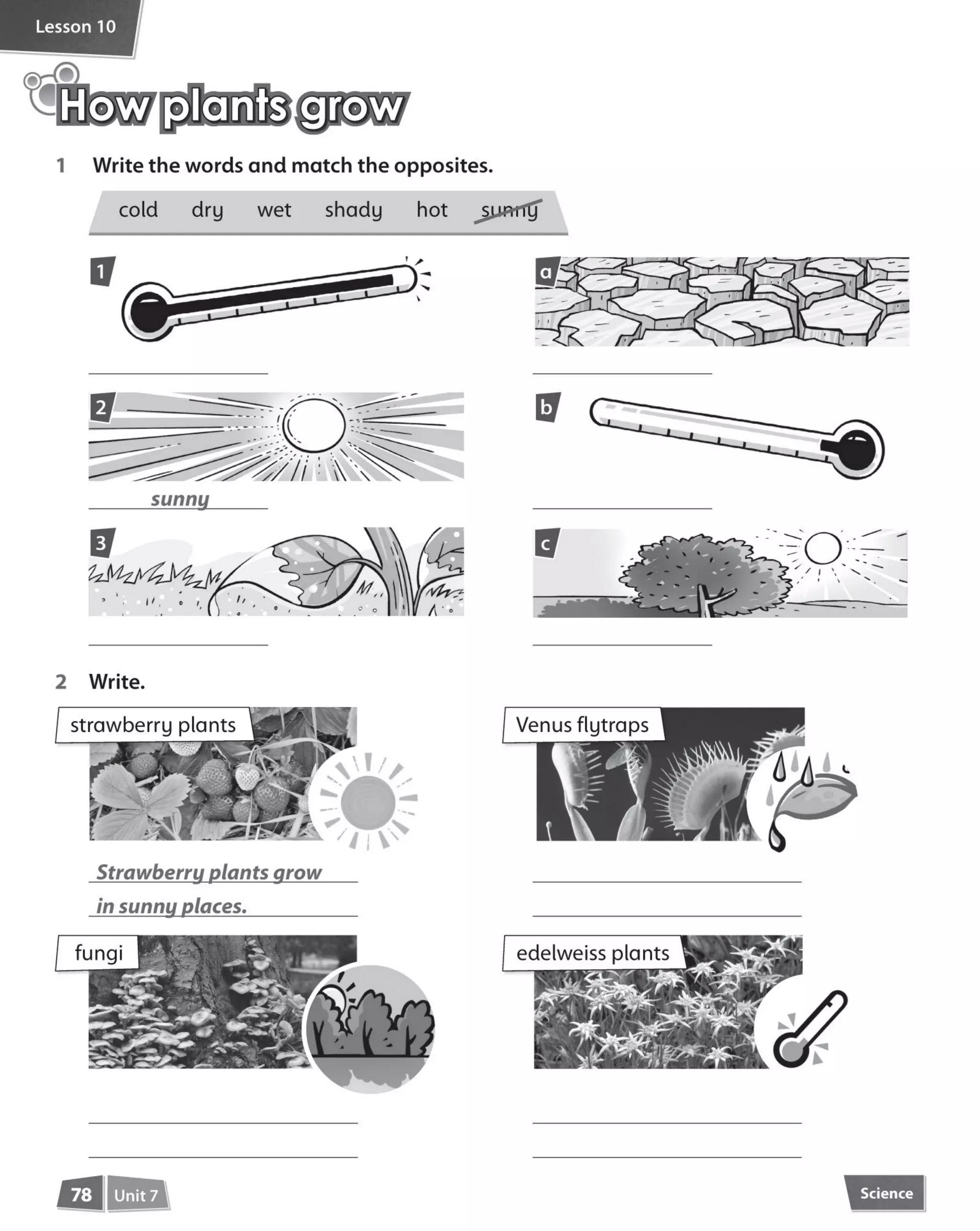 Incredible english 4_activity_book (1)