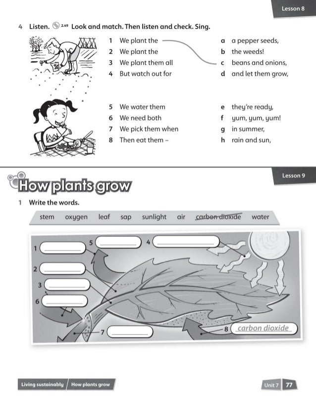Incredible English 4 Activity Book 1
