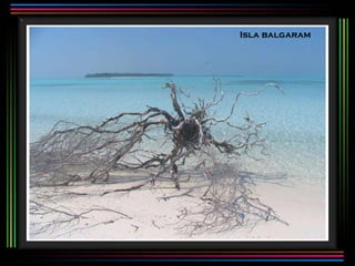 Isla balgaram 
