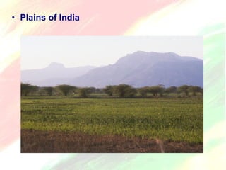 • Plains of India 
 
