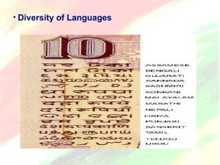 • Diversity of Languages 
 